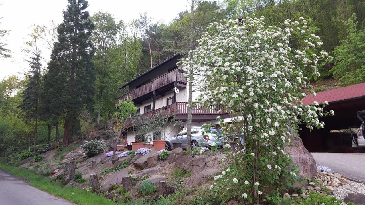 Gaestehaus Gerhardt 施伟根-莱齐腾巴赫 外观 照片